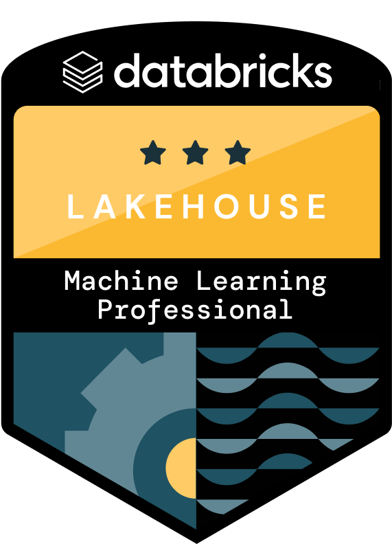 ML Professional